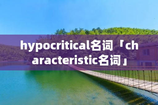 hypocritical名词「characteristic名词」