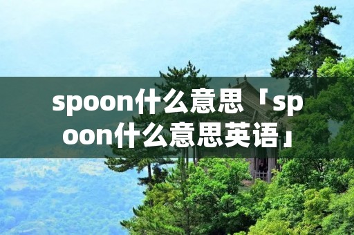 spoon什么意思「spoon什么意思英语」 spoon什么意思「spoon什么意思英语」