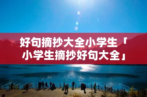好句摘抄大全小学生「小学生摘抄好句大全」