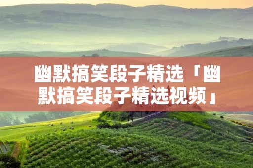 幽默搞笑段子精选「幽默搞笑段子精选视频」