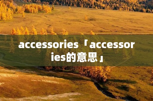 accessories「accessories的意思」