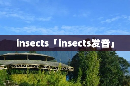 insects「insects发音」