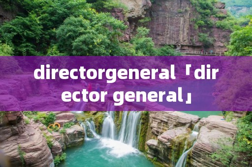 directorgeneral「director general」