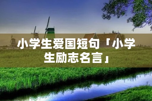小学生爱国短句「小学生励志名言」