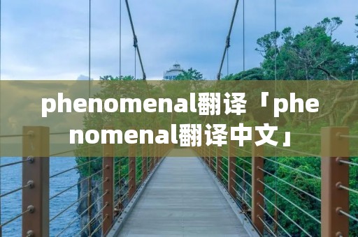 phenomenal翻译「phenomenal翻译中文」
