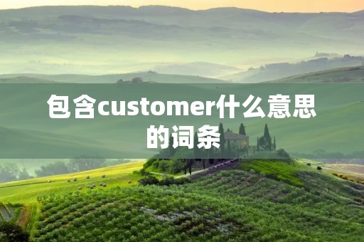 包含customer什么意思的词条