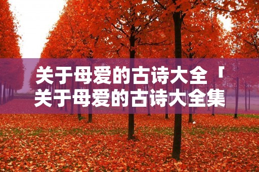 关于母爱的古诗大全「关于母爱的古诗大全集」