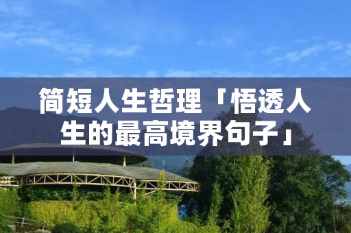 简短人生哲理「悟透人生的最高境界句子」