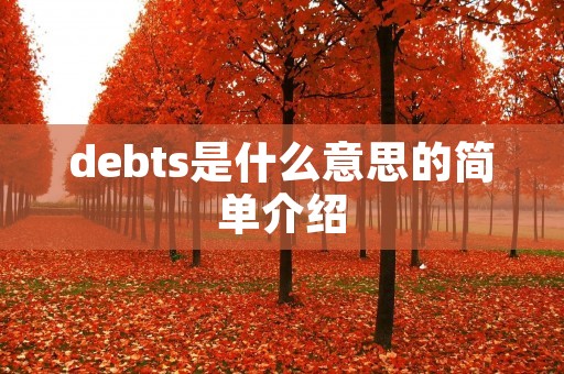 debts是什么意思的简单介绍
