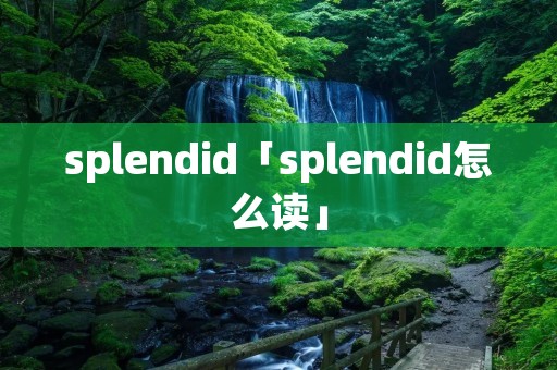 splendid「splendid怎么读」