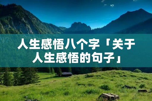 人生感悟八个字「关于人生感悟的句子」