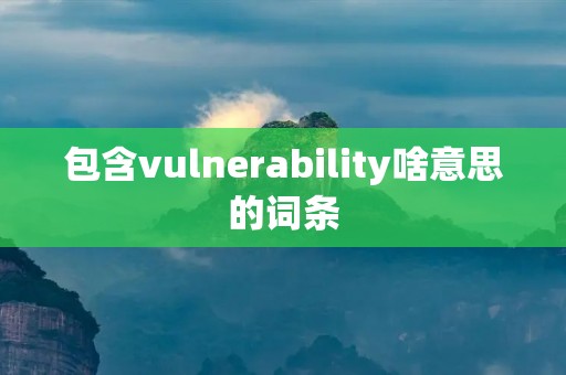 包含vulnerability啥意思的词条