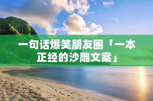 一句话爆笑朋友圈「一本正经的沙雕文案」