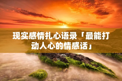 现实感情扎心语录「最能打动人心的情感话」 现实感情扎心语录「最能打动人心的情感话」