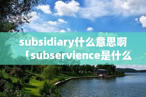 subsidiary什么意思啊「subservience是什么意思啊」