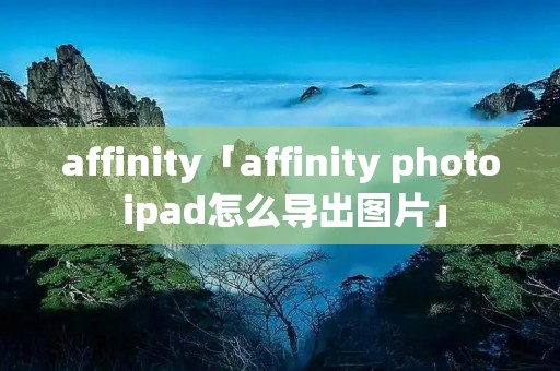 affinity「affinity photo ipad怎么导出图片」