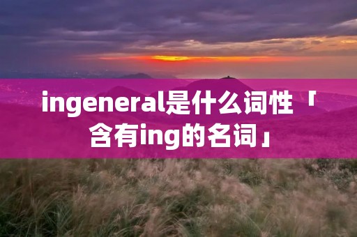ingeneral是什么词性「含有ing的名词」