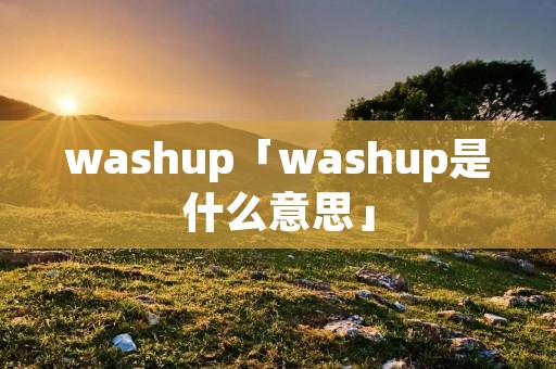 washup「washup是什么意思」