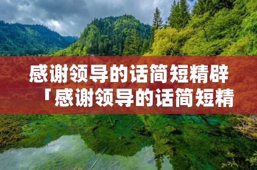 感谢领导的话简短精辟「感谢领导的话简短精辟句子」