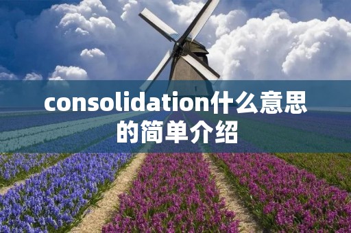 consolidation什么意思的简单介绍