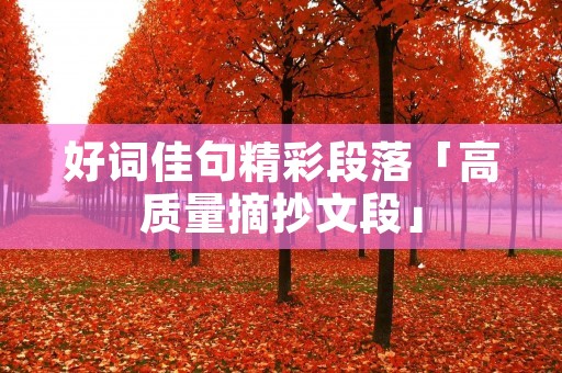 好词佳句精彩段落「高质量摘抄文段」