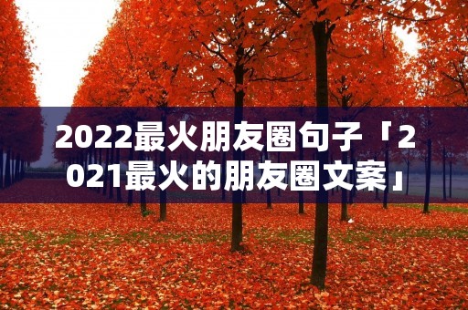 2022最火朋友圈句子「2021最火的朋友圈文案」