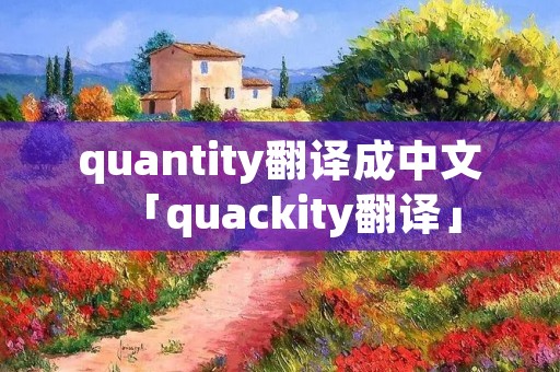 quantity翻译成中文「quackity翻译」