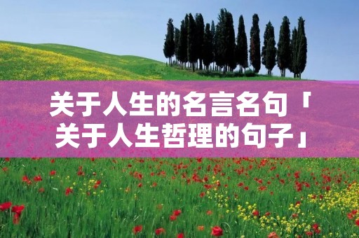 关于人生的名言名句「关于人生哲理的句子」