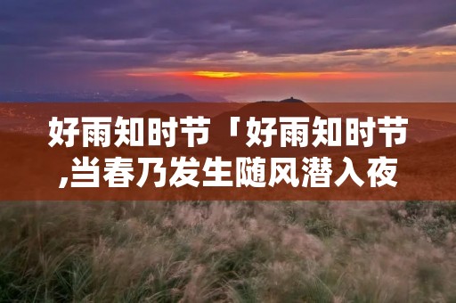 好雨知时节「好雨知时节,当春乃发生随风潜入夜,润物细无声的意思」
