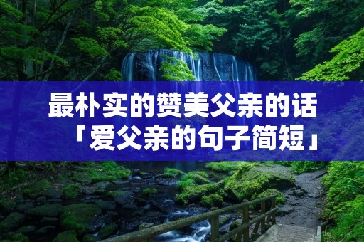 最朴实的赞美父亲的话「爱父亲的句子简短」