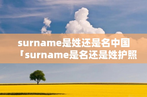 surname是姓还是名中国「surname是名还是姓护照」