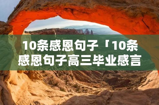 10条感恩句子「10条感恩句子高三毕业感言」