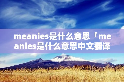meanies是什么意思「meanies是什么意思中文翻译」
