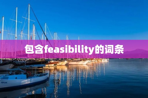 包含feasibility的词条