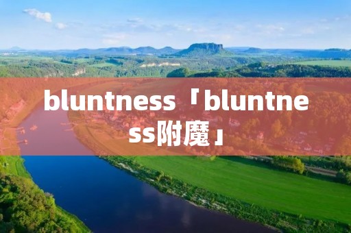 bluntness「bluntness附魔」 bluntness「bluntness附魔」