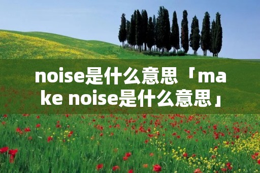 noise是什么意思「make noise是什么意思」