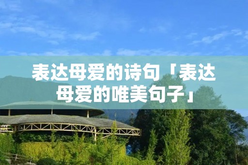 表达母爱的诗句「表达母爱的唯美句子」