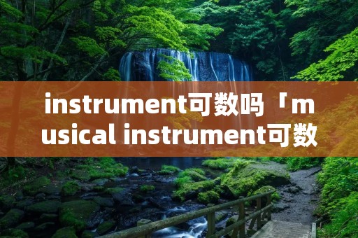 instrument可数吗「musical instrument可数吗」
