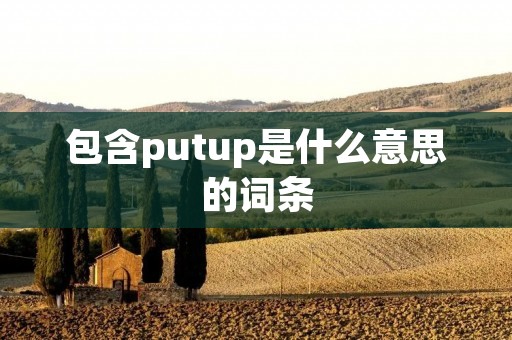 包含putup是什么意思的词条 包含putup是什么意思的词条