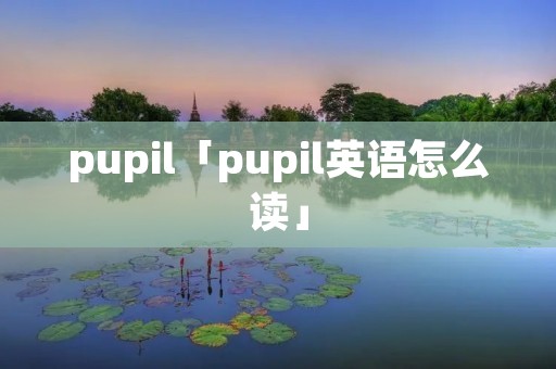 pupil「pupil英语怎么读」