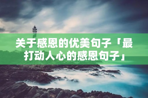 关于感恩的优美句子「最打动人心的感恩句子」