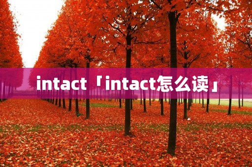 intact「intact怎么读」