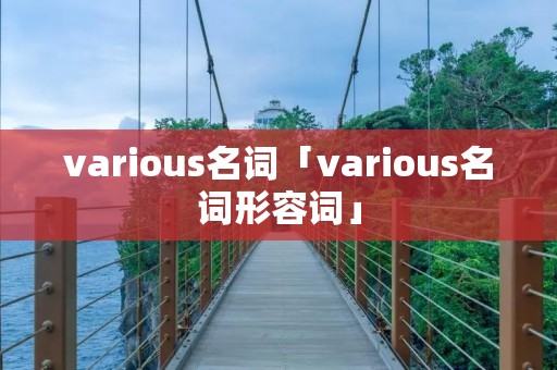 various名词「various名词形容词」