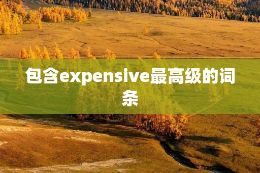 包含expensive最高级的词条