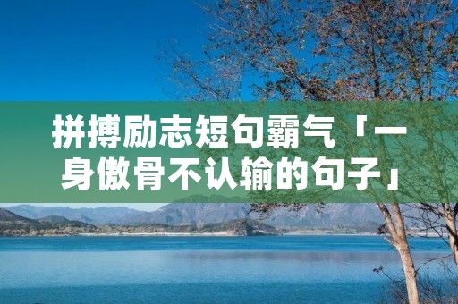 拼搏励志短句霸气「一身傲骨不认输的句子」
