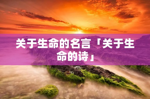 关于生命的名言「关于生命的诗」
