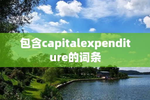 包含capitalexpenditure的词条