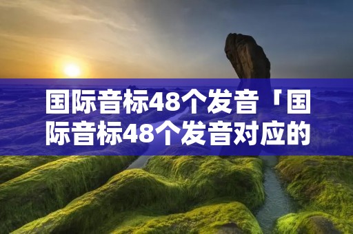 国际音标48个发音「国际音标48个发音对应的字母」