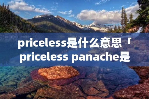 priceless是什么意思「priceless panache是什么意思」