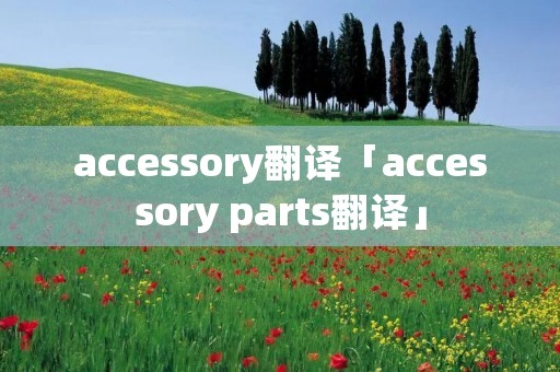 accessory翻译「accessory parts翻译」